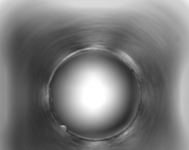 X0000089461292200706221258