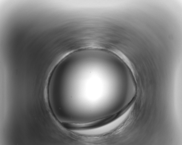 X0000089461293200706221258
