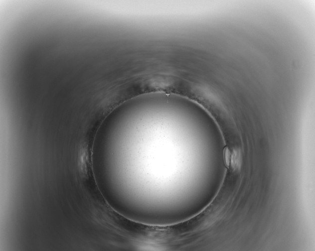 X0000089461299200706221258