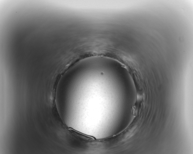 X0000089461300200706221258