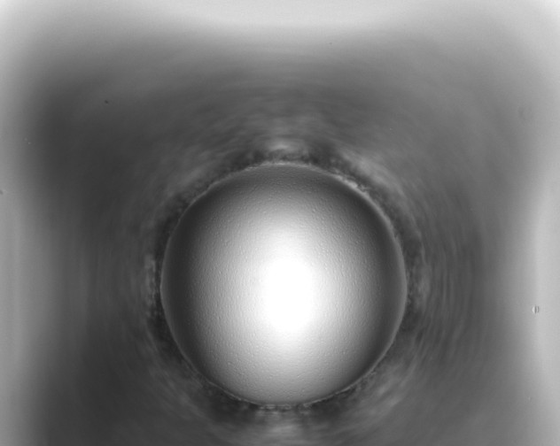 X0000089461301200706221258
