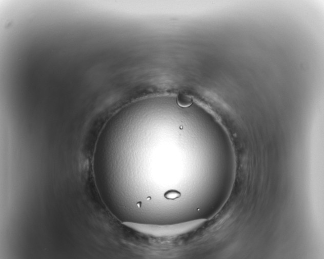 X0000089461302200706221258