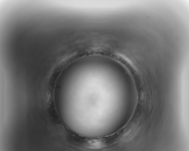 X0000089461303200706221258