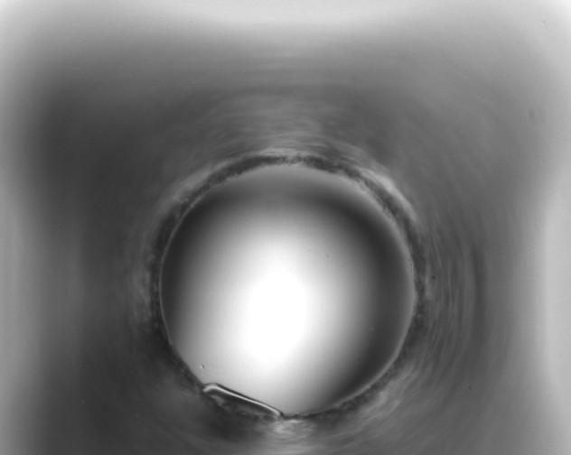 X0000089461304200706221258