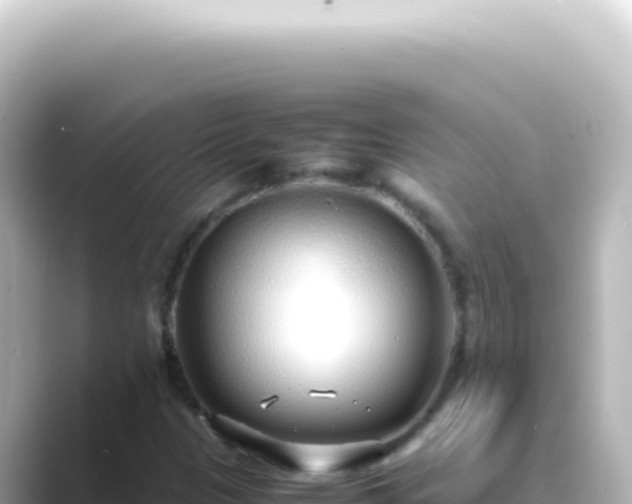 X0000089461305200706221258