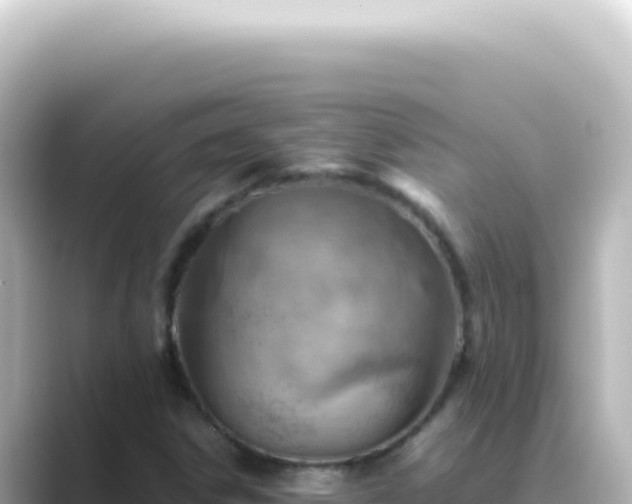 X0000089461306200706221258