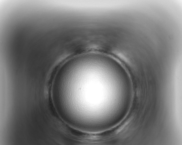 X0000089461309200706221258