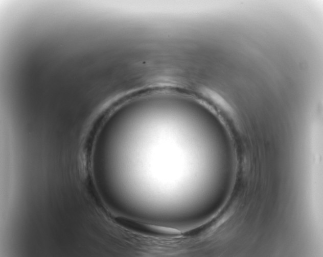 X0000089461310200706221258