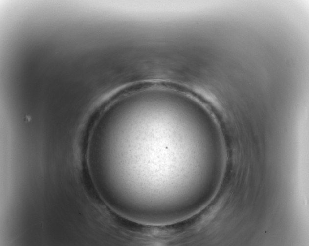 X0000089461311200706221258
