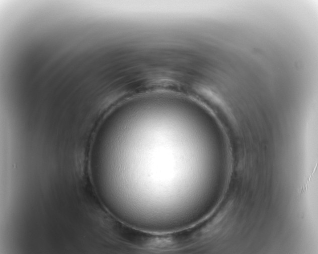 X0000089461313200706221258