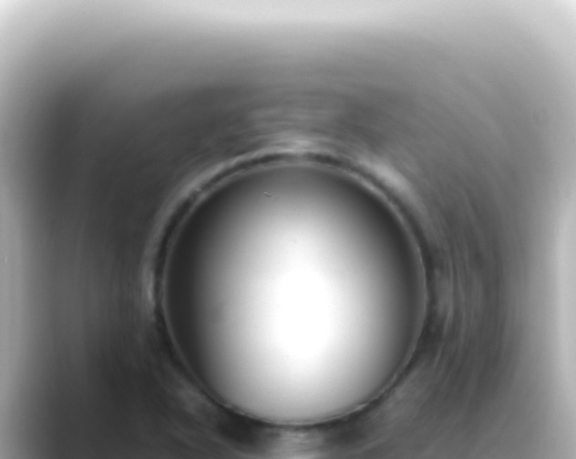 X0000089461318200706221258