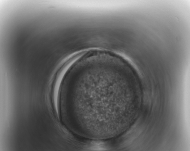 X0000089461319200706221258