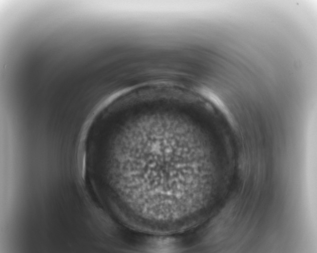 X0000089461323200706221258