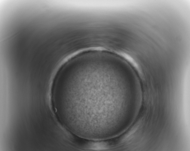 X0000089461327200706221258