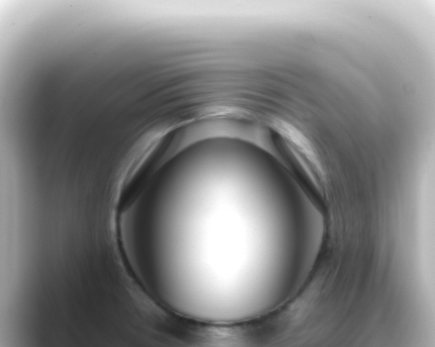 X0000089461330200706221258