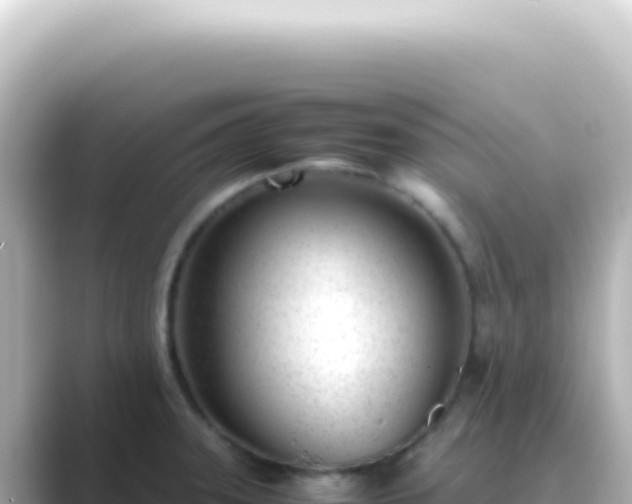 X0000089461331200706221258
