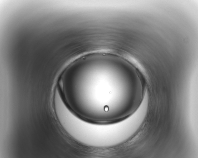 X0000089461332200706221258