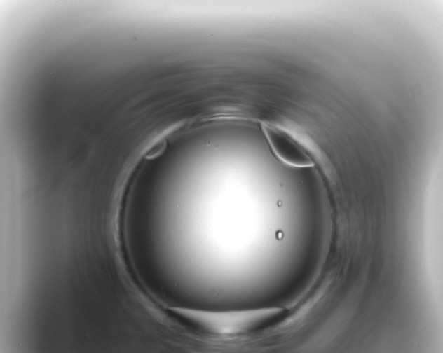 X0000089461333200706221258