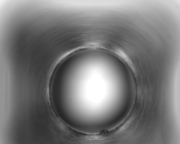 X0000089461336200706221258