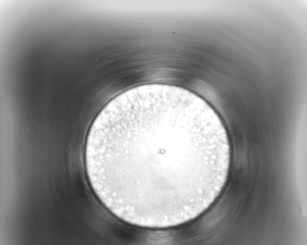 X0000089461338200706221258