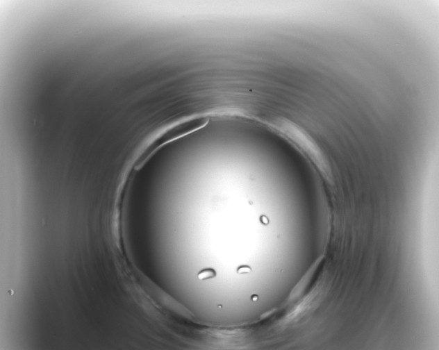 X0000089461340200706221258