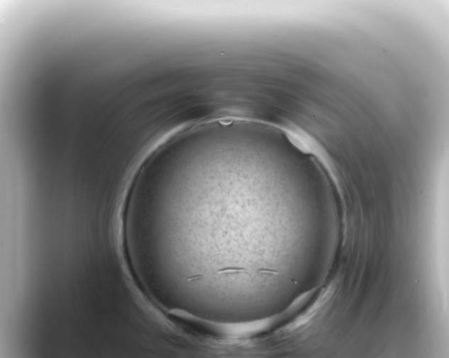 X0000089461341200706221258