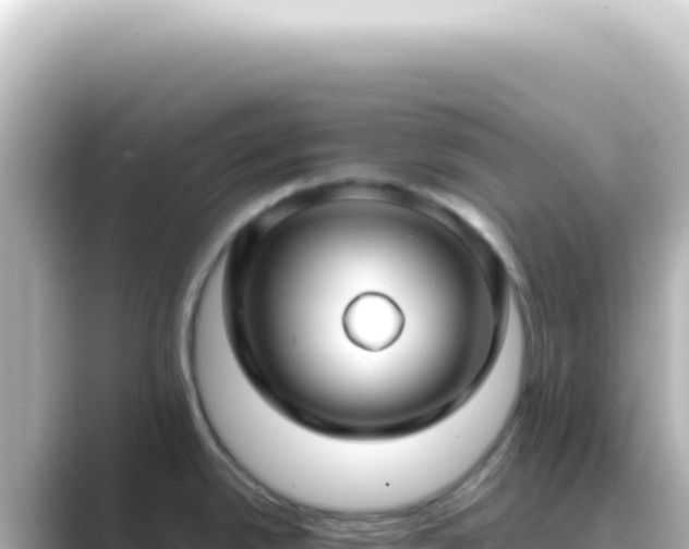 X0000089461342200706221258