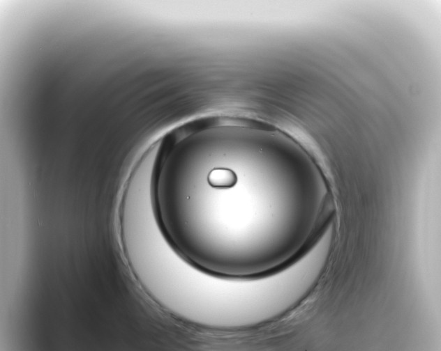 X0000089461344200706221258