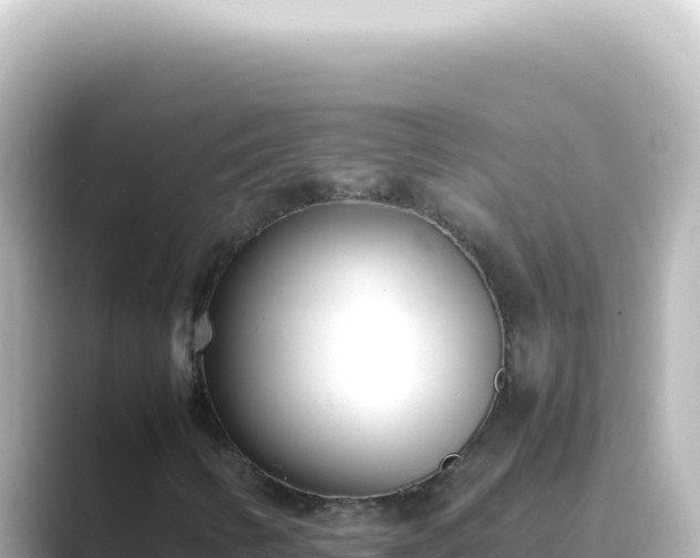 X0000089461346200706221258