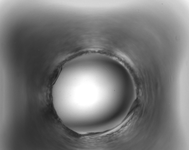 X0000089461352200706221257