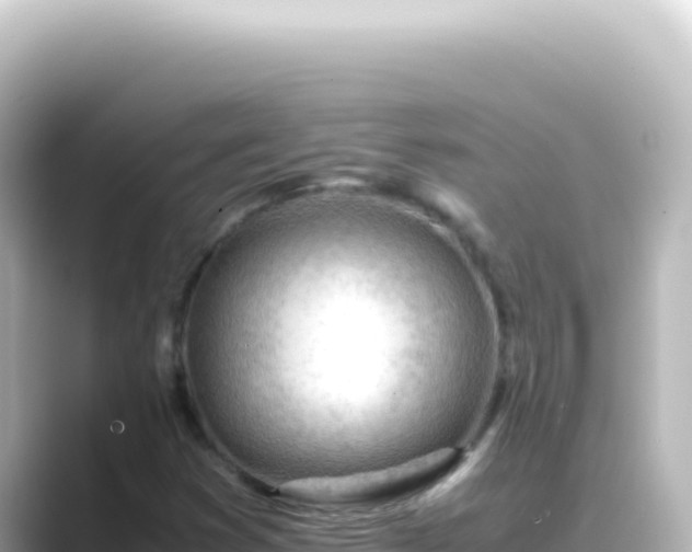 X0000089461353200706221257