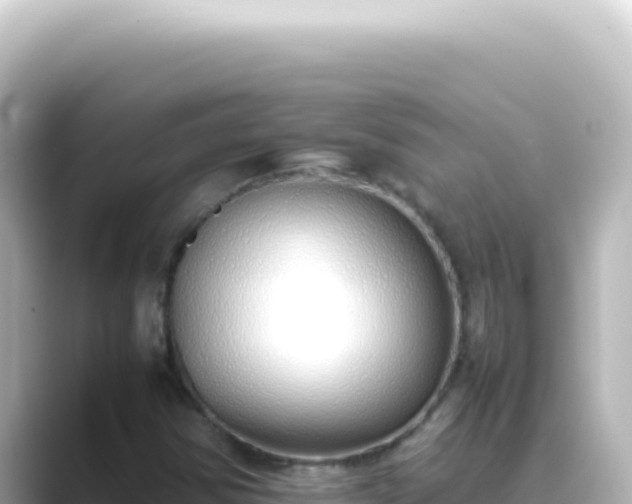 X0000089461354200706221257