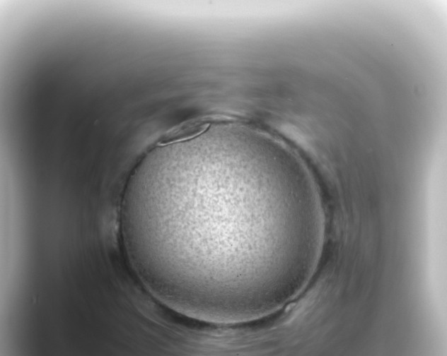 X0000089461355200706221257
