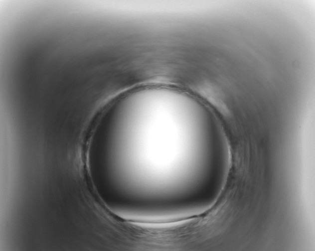 X0000089461356200706221257
