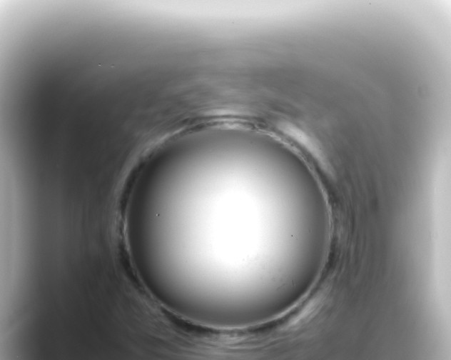 X0000089461357200706221257