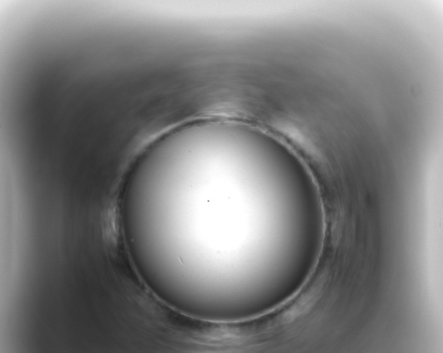 X0000089461358200706221257