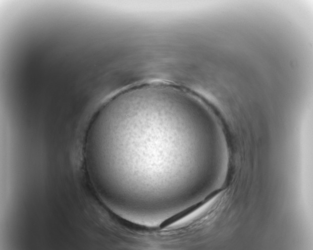 X0000089461359200706221257