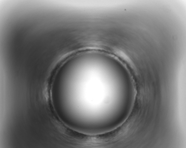 X0000089461360200706221257