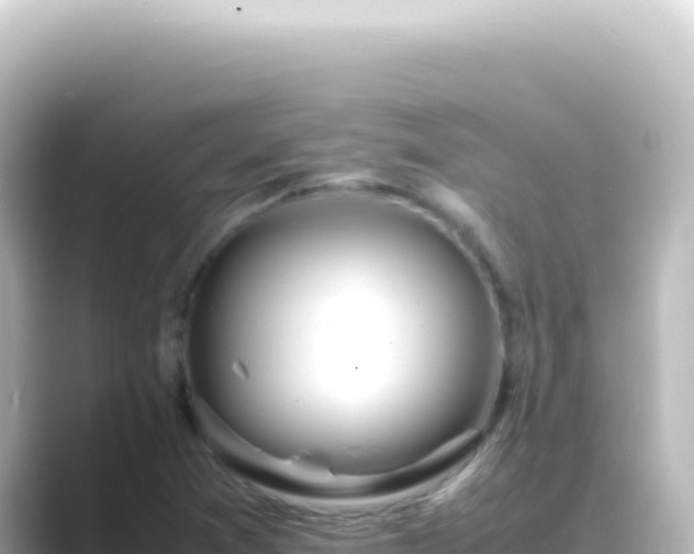 X0000089461361200706221257