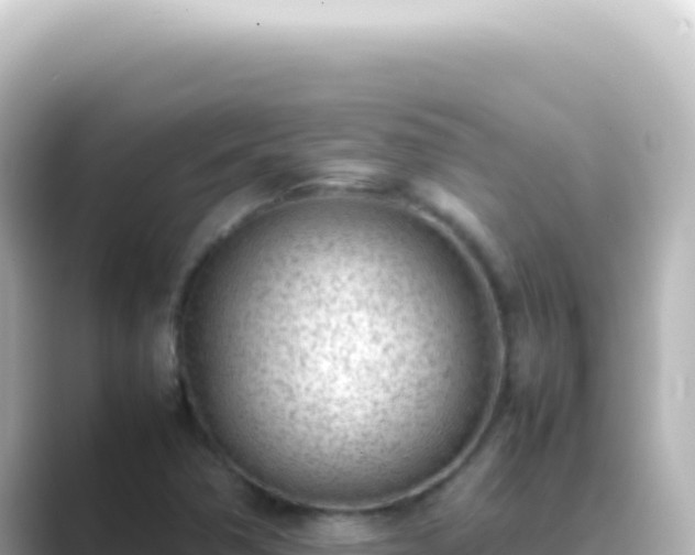 X0000089461362200706221257