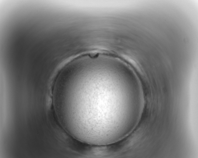 X0000089461363200706221257
