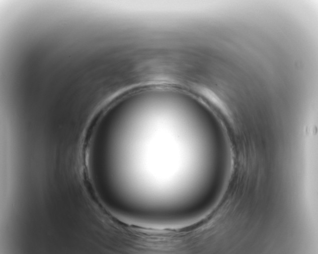 X0000089461364200706221257