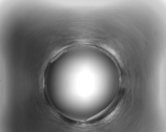 X0000089461365200706221257