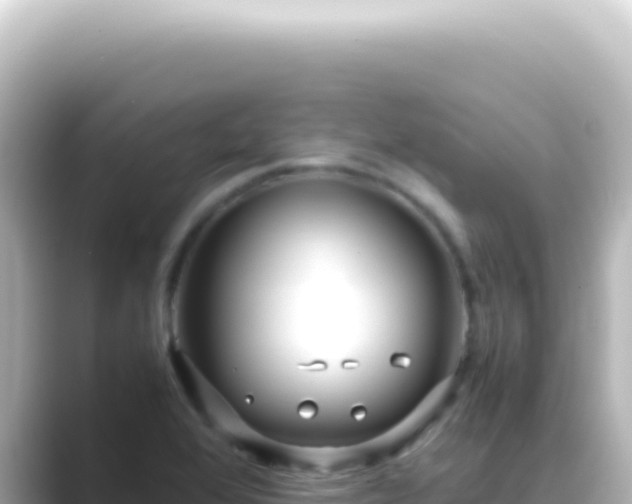 X0000089461368200706221257