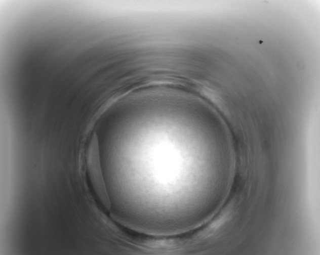 X0000089461369200706221257