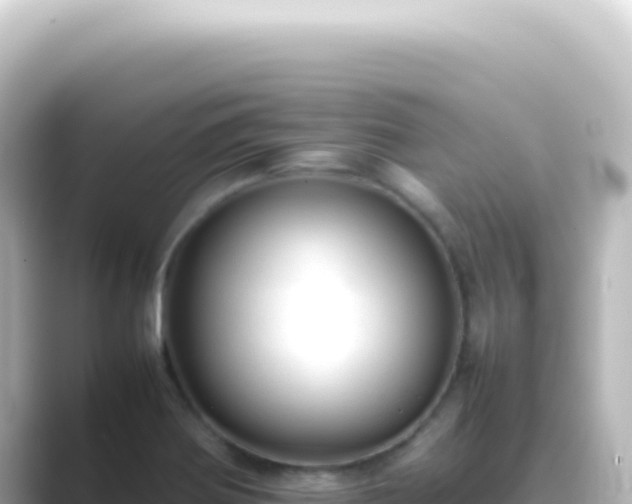 X0000089461370200706221257