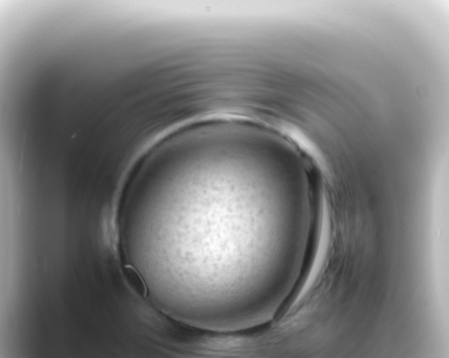 X0000089461372200706221257