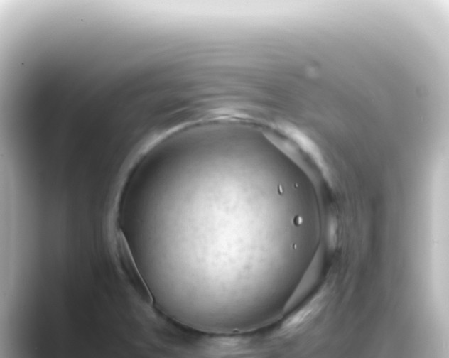 X0000089461373200706221257