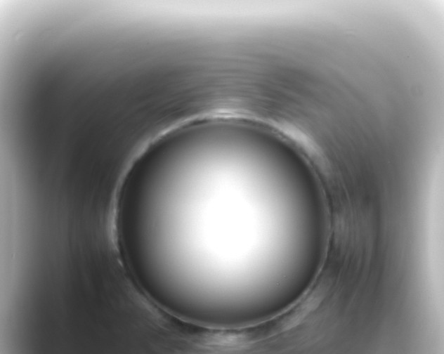 X0000089461374200706221257