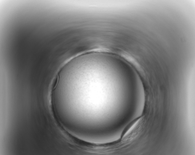 X0000089461375200706221257